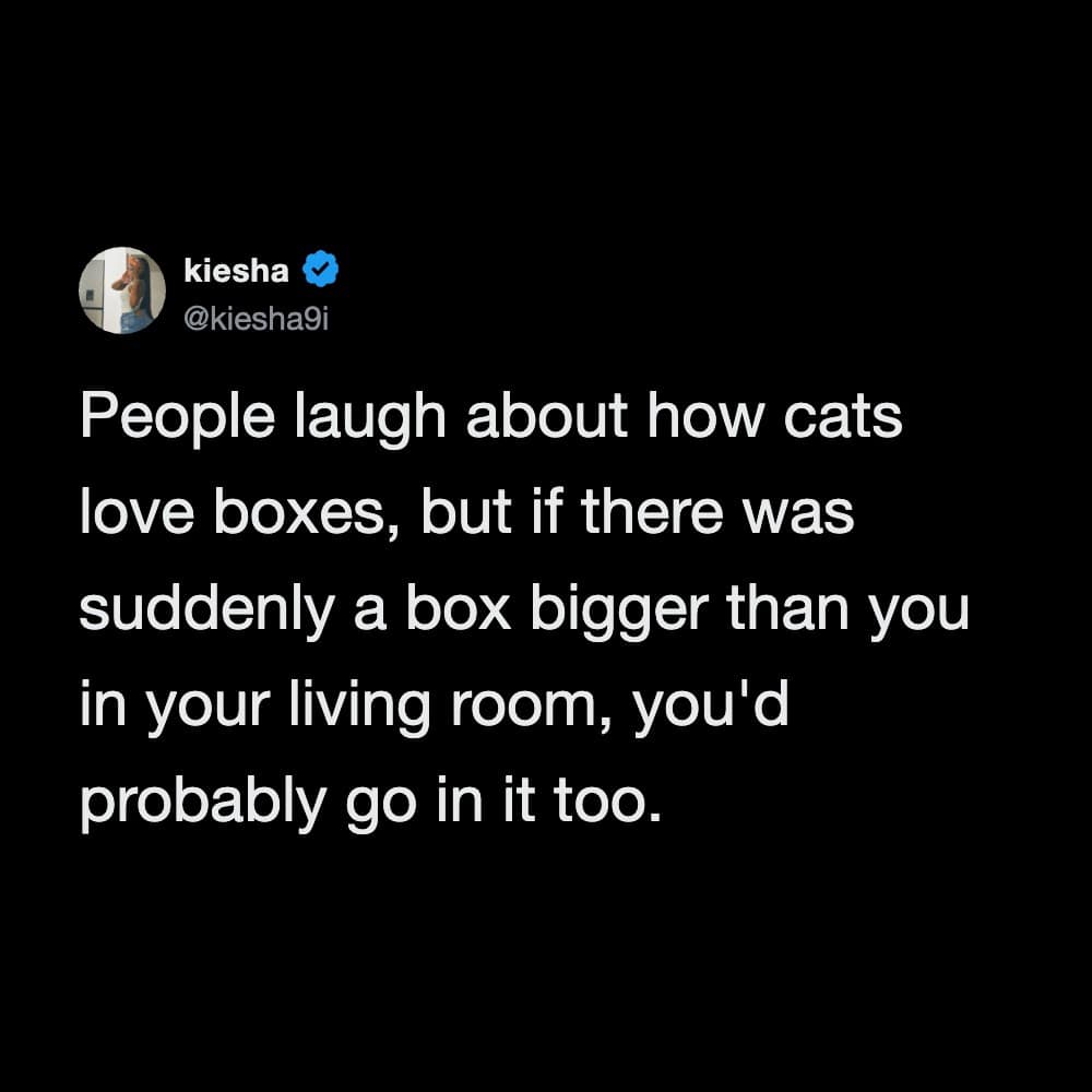 A brilliant philosophical text tweet added to the best memes catalog analyzing why humans shouldn't mock cats for climbing into empty cardboard boxes, arguing that any human would do the exact same thing if given a giant box in their living room.