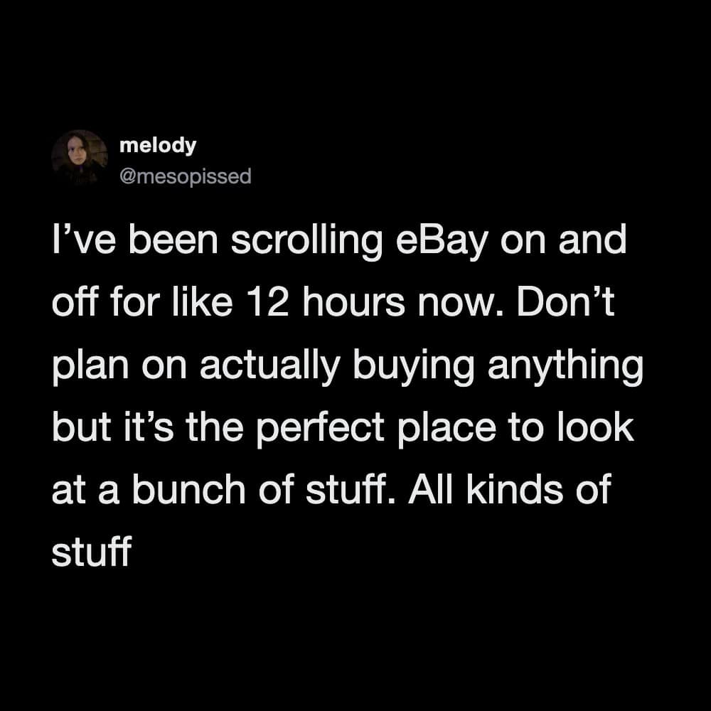 A painfully relatable online shopping post included in the best memes archive features a tweet about mindlessly window-shopping and scrolling on eBay for twelve straight hours with absolutely zero intent to buy anything.
