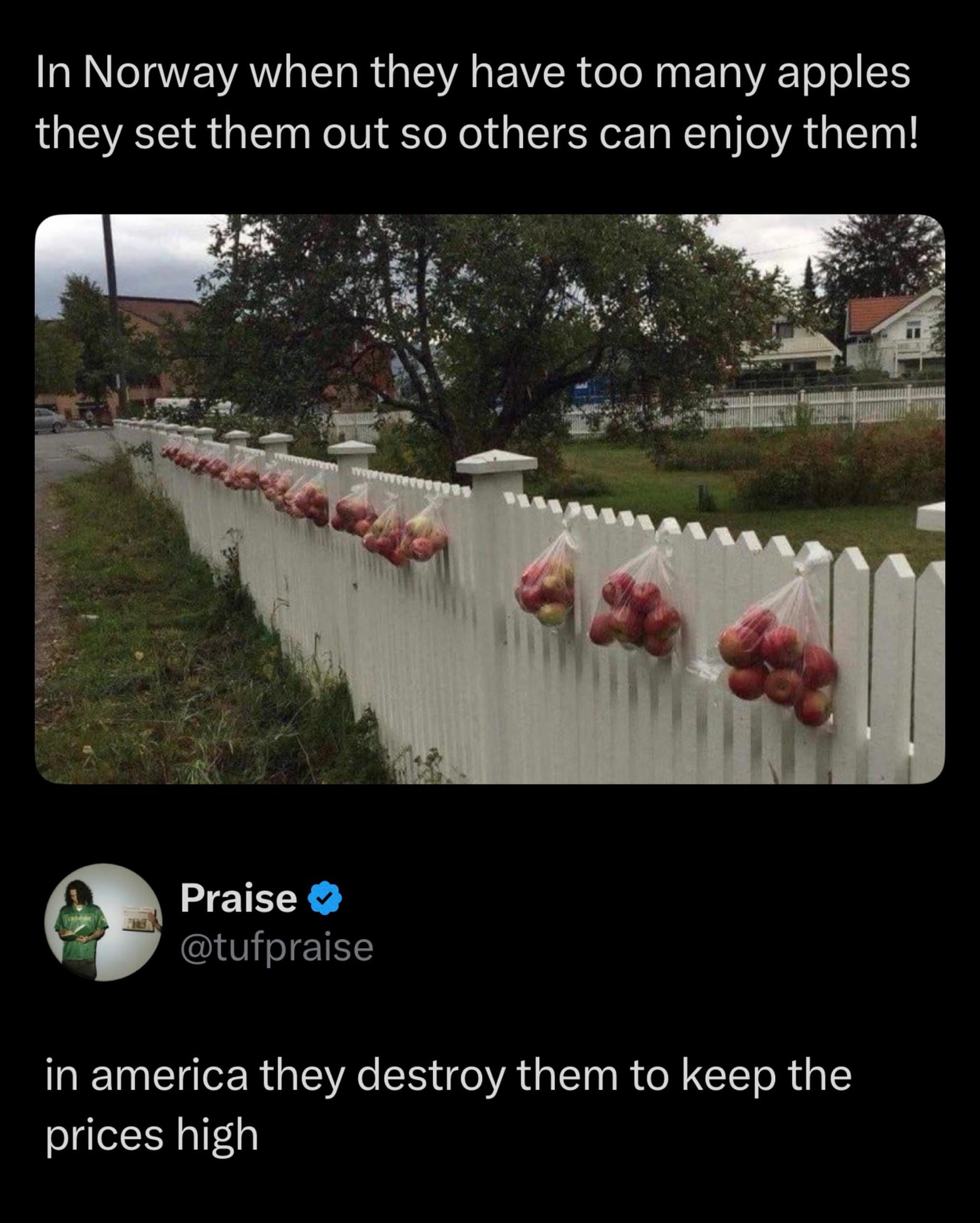 An observational economic post featured in the best memes bank shows clear plastic bags of fresh apples hanging from a white picket fence in Norway for passersby, contrasted against a cynical reply about corporate pricing logic.