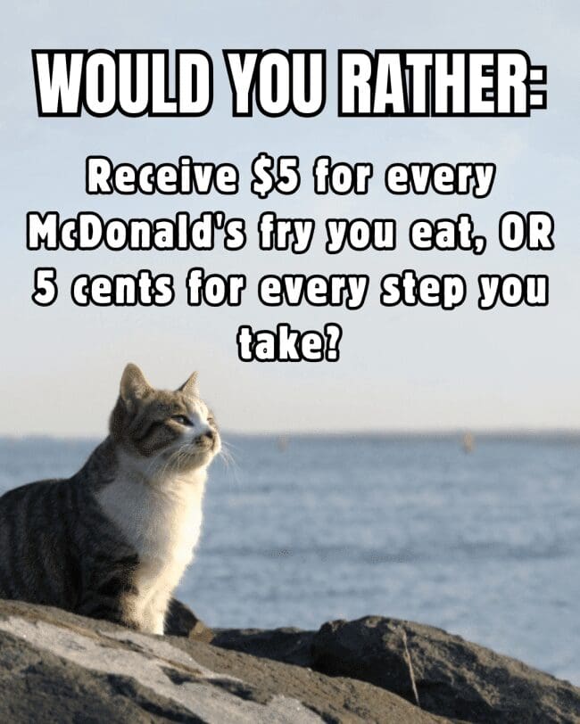 A cat sitting near the ocean contemplating a payout for eating McDonald's fries versus taking steps.