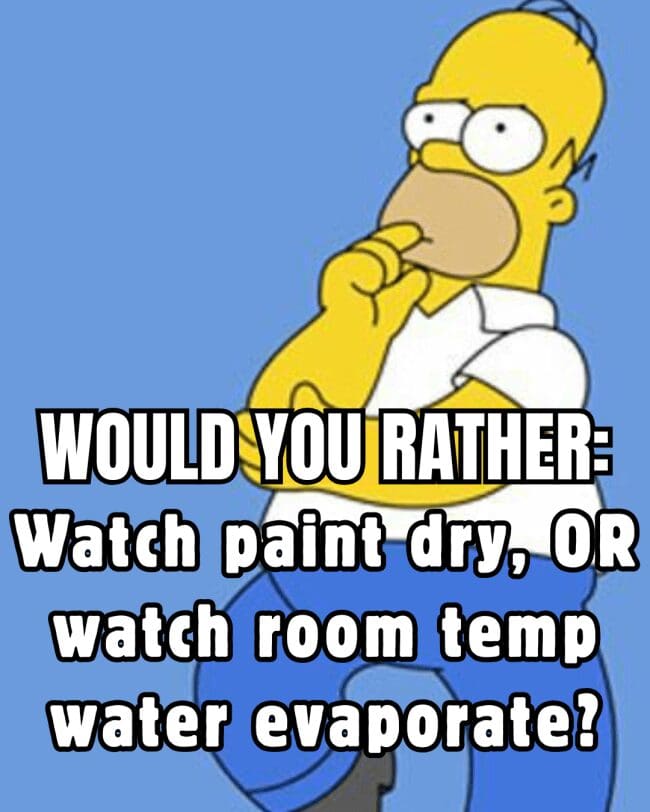 Homer Simpson thinking deeply over a choice between watching paint dry or watching water evaporate.