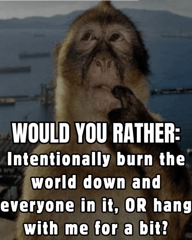 A thoughtful monkey posing next to a choice of burning the world down or hanging with him.