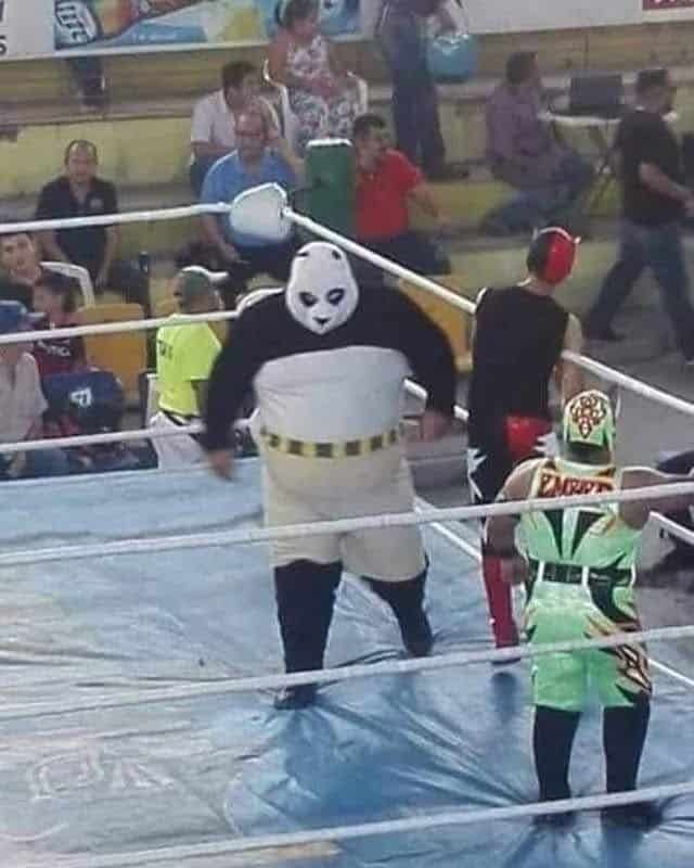 A heavy-set wrestler wearing a panda mask walking inside a wrestling ring during a match.