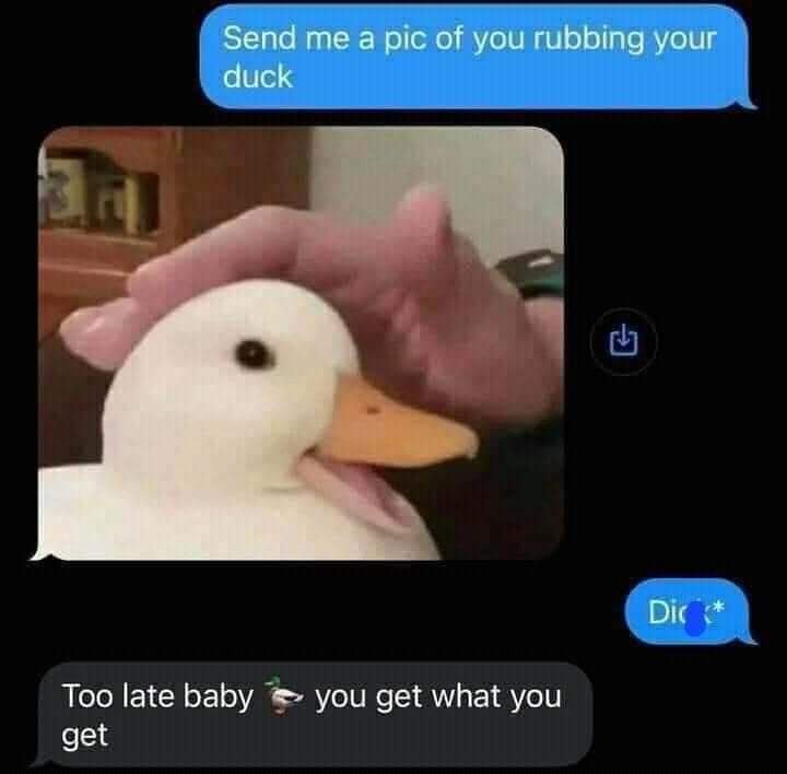 This hilarious classic meme captures a text message typo mixup where a user accidentally requests a picture of a duck and gets an adorable photo of a white bird being petted.