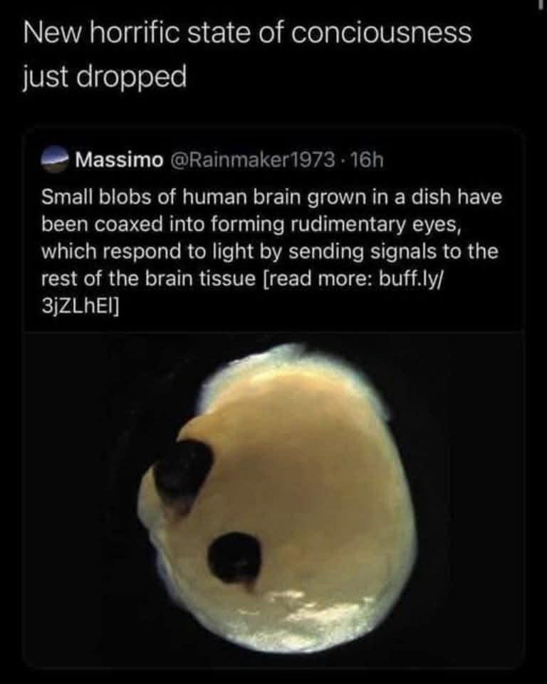 A creepy science news post becomes a classic meme format featuring a microscopic lab-grown human brain blob that managed to grow primitive eyes.
