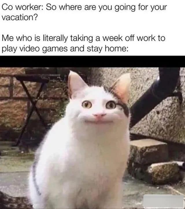 A popular classic meme pairs the tight, polite expression of Ollie the cat with a caption about pretending to have fancy travel plans when your vacation is just video games at home.