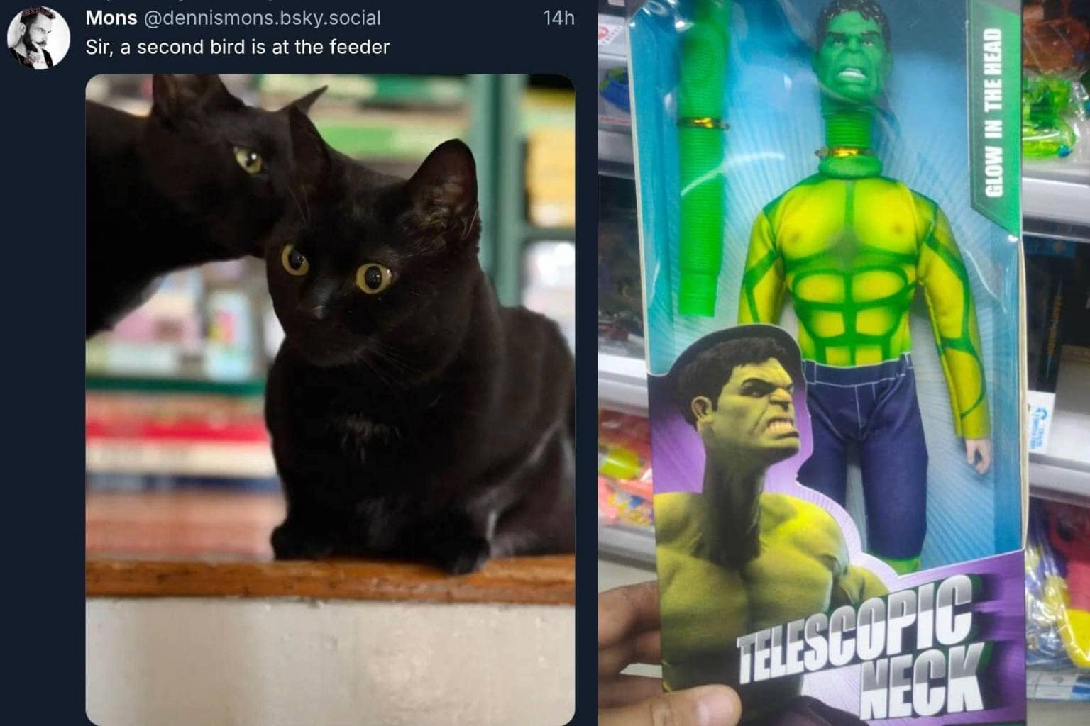 A dynamic gallery layout showcasing a curated classic memes collection, featuring a bootleg long-neck Hulk toy, a black cat whispering into another cat's ear, and a man calmly reading a newspaper with his leg entirely on fire.