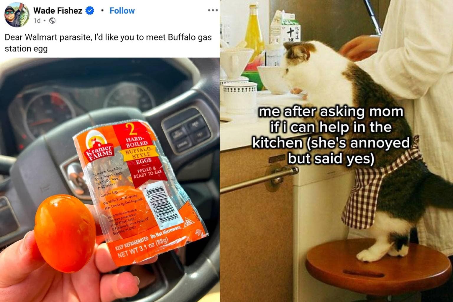 viral classic meme repository tracking internet history, referencing a panicked emu arriving in the middle of an Emo Night club, an incredibly intense text message exchange with a ruthless delivery driver, and a majestic lion whose thick mane has frizzed into a perfect square due to summer humidity.