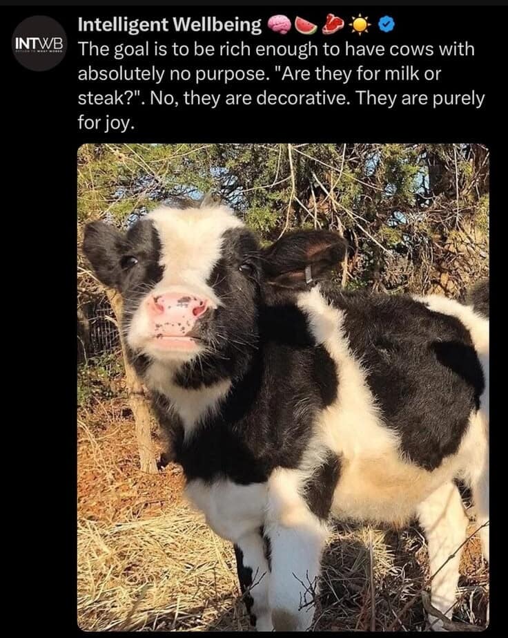 A wholesome wealth milestone classic meme featuring a photograph of a spotted calf under text aspiring to be rich enough to own purely decorative, non-farm cows for joy.