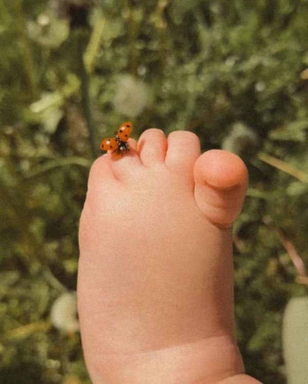 This remarkably detailed cute photo presents a macro view of a baby's chubby, bare foot raised up against a soft-focus background of summer greenery. A tiny, bright orange ladybug with black spots climbs delicately on the tip of the second toe.