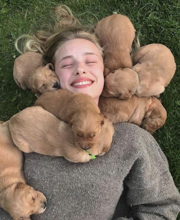 Wrapping up with supreme comfort, this cute photo features a young blonde woman lying flat in a lush green lawn, laughing joyfully with her eyes closed as she is entirely buried beneath a litter of seven fluffy golden retriever puppies.