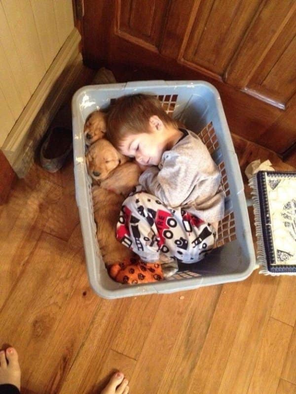 A highly optimized configuration for achieving maximum cozy efficiency.