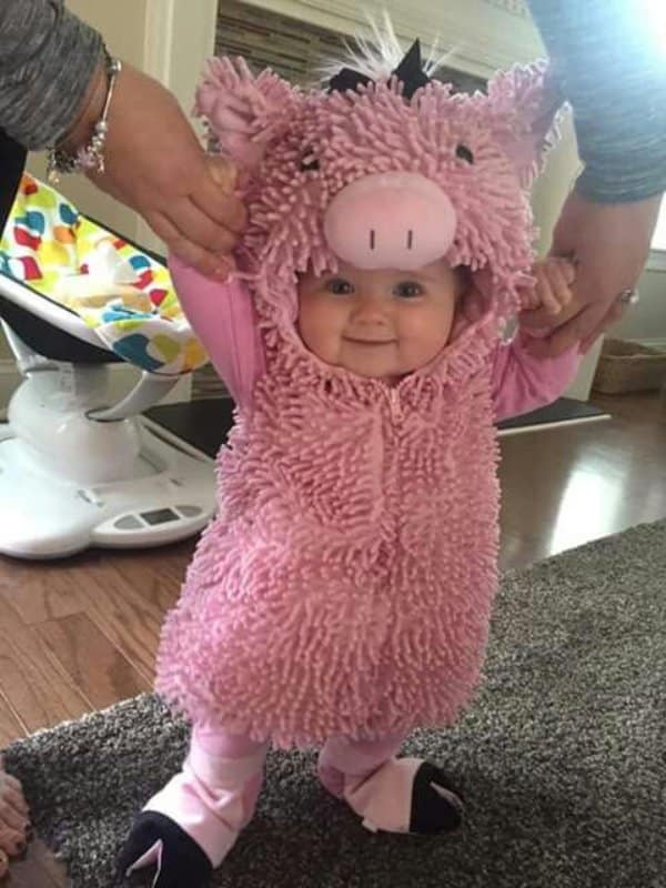 An absolutely adorable cute photo features a smiling baby dressed up in a textured, fuzzy pink pig costume with matching hoof booties and a plush pig hood. Two adult hands gently hold the baby's tiny arms to help them stand balanced on a grey living room rug.