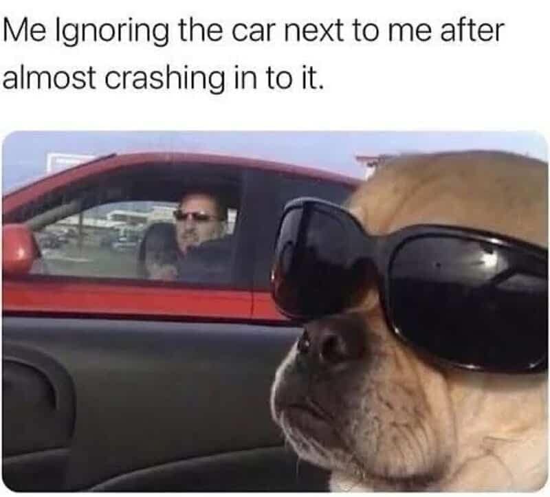 A hilarious defensive-denial driving meme displaying a cool dog wearing oversized black sunglasses staring straight ahead to deliberately ignore a furious driver in a red car after an active near-miss on the road.