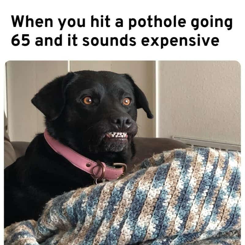 If I refuse to make eye contact, the laws of insurance claims dictate that the almost-accident never actually occurred.