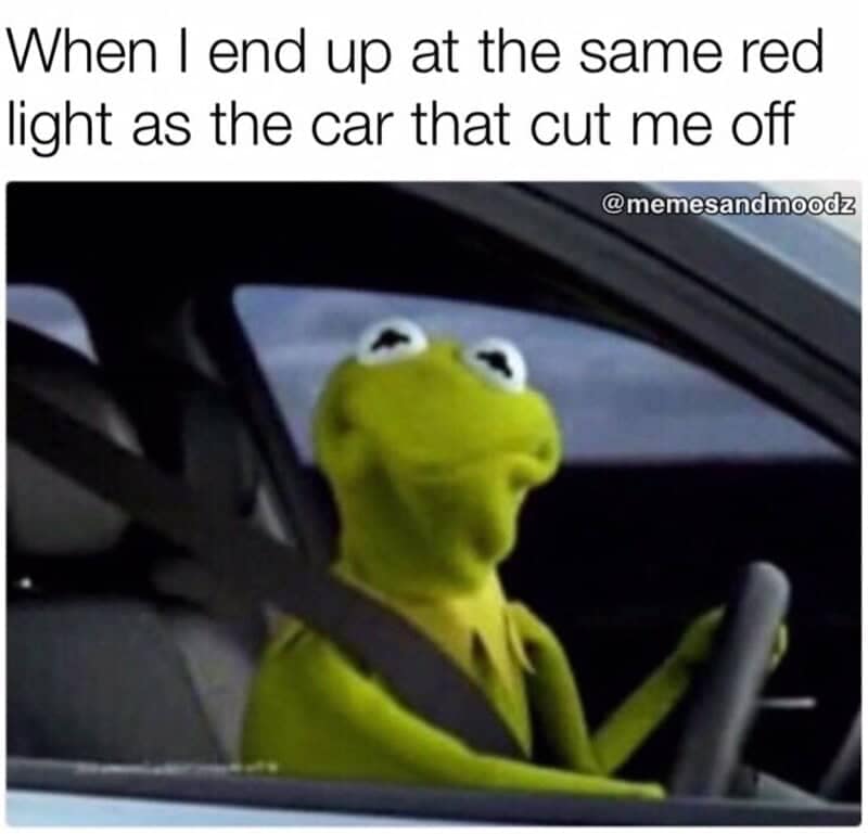 A visceral repair-bill driving meme capturing a black dog cringing with wide, terrified eyes and an exposed-teeth grimace to illustrate hitting a massive pothole at highway speeds.