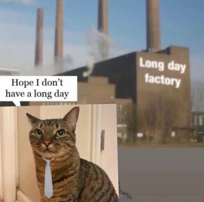 Dressed-up cat approaching large industrial factory with "Long Day Factory" text dark work meme.