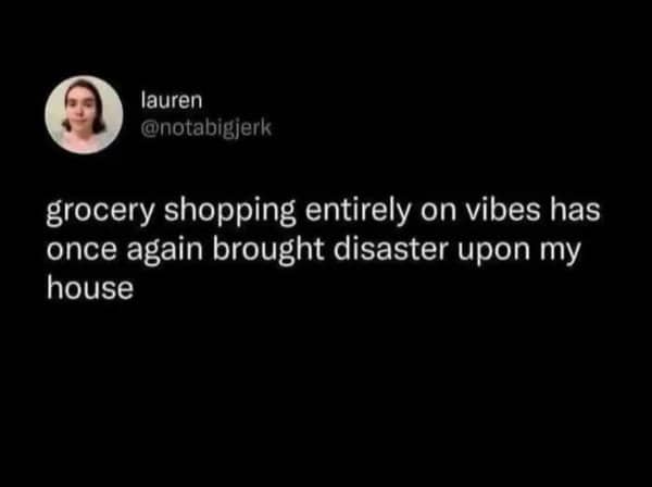 A text screenshot tweet from Lauren about grocery shopping entirely on vibes bringing disaster.