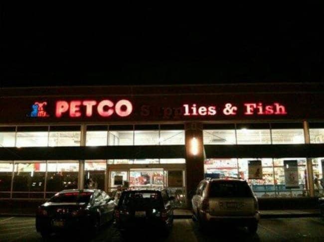 A broken Petco Supplies and Fish neon sign lit up to read PETCO lies.