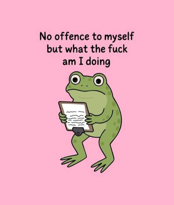 A confused cartoon frog holding a clipboard on a pink background with a self-deprecating caption.