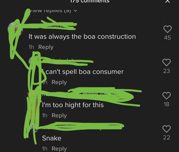 Comment section showing multiple failed attempts at spelling boa constrictor including boa construction and boa consumer.