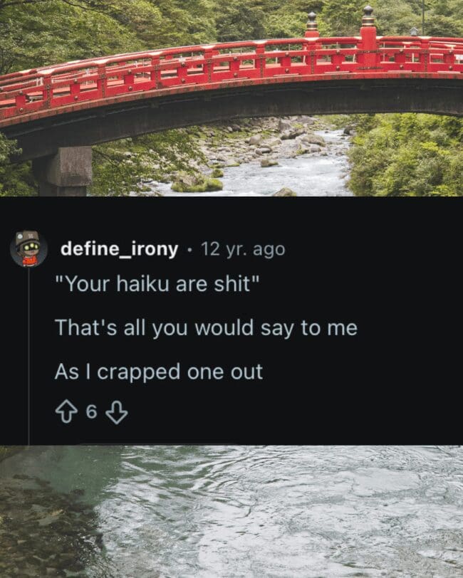 Reddit comment screenshot by user define_irony self-deprecatingly reviewing their own poetic efforts over a river background.