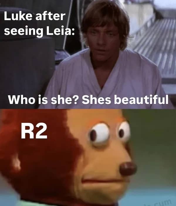 Split screen meme featuring Luke Skywalker from Star Wars and an awkward puppet reaction face.
