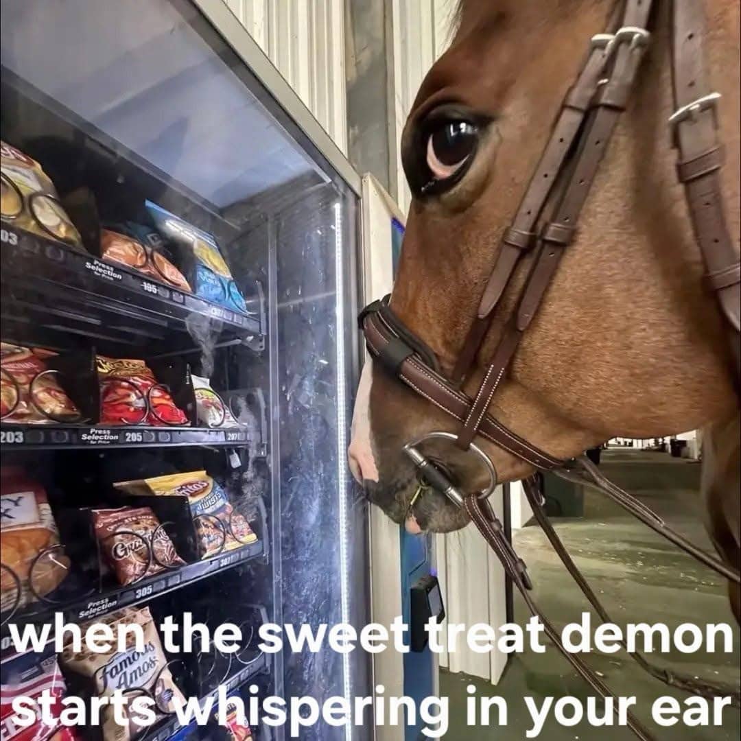 Close up of a brown horse looking intensely at snacks inside a vending machine with text.