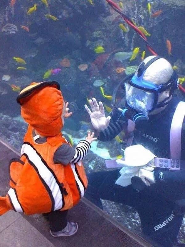 Wholesome photograph of a toddler dressed as Nemo high-fiving a scuba diver through aquarium glass windows.