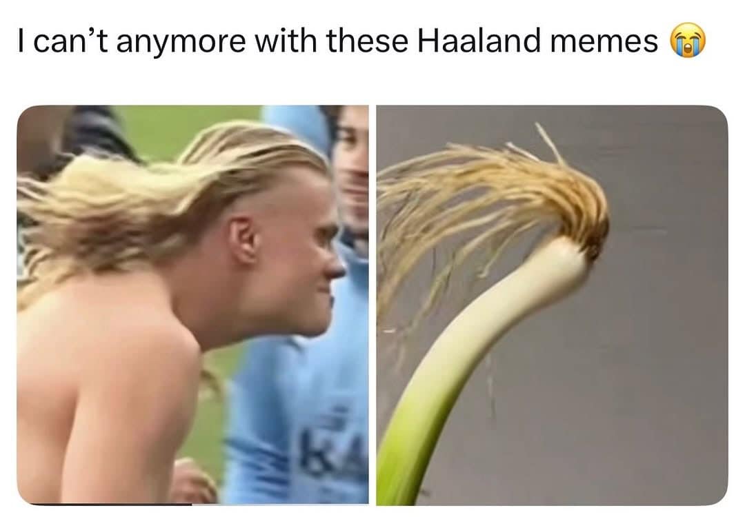 An amusing funny meme features a side-by-side visual pairing of soccer player Erling Haaland running with his blonde hair blowing in the wind next to a green scallion stalk.