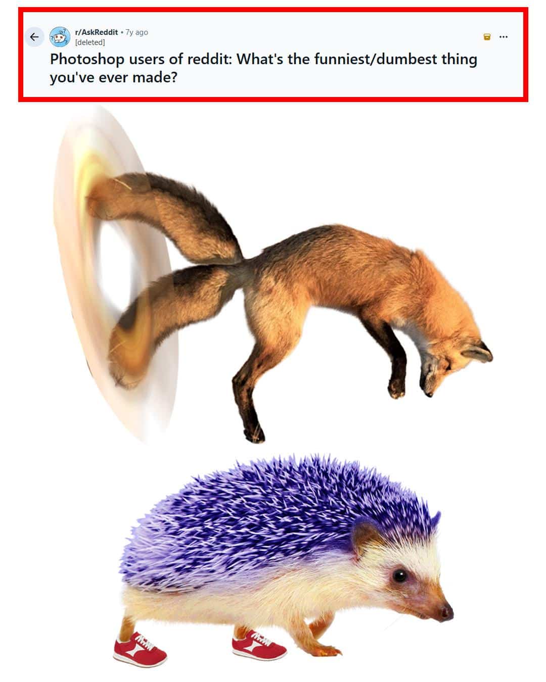 Funny Photoshop meme showing realistic fox Tails entering portal and hedgehog Sonic wearing red sneakers.