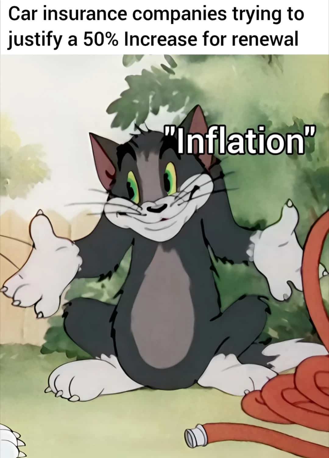 Tom and Jerry meme featuring Tom shrugging about car insurance renewal rate increases.