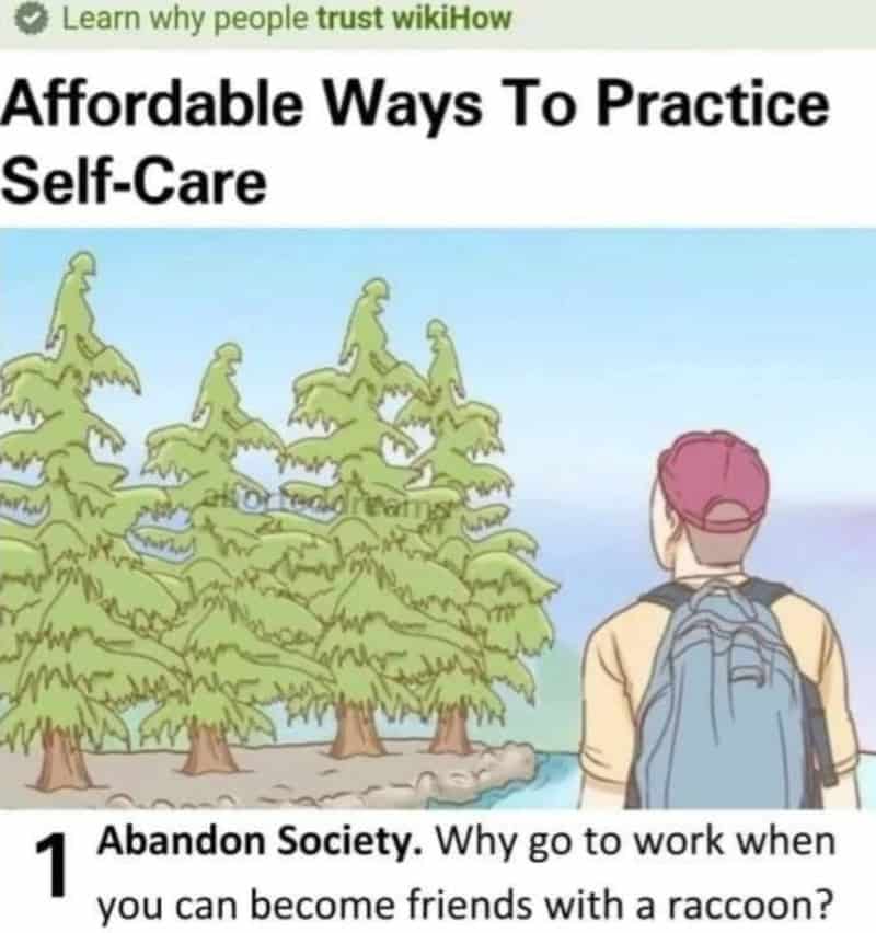 Satirical WikiHow illustration suggesting abandoning society and befriending a raccoon as an affordable self-care option.