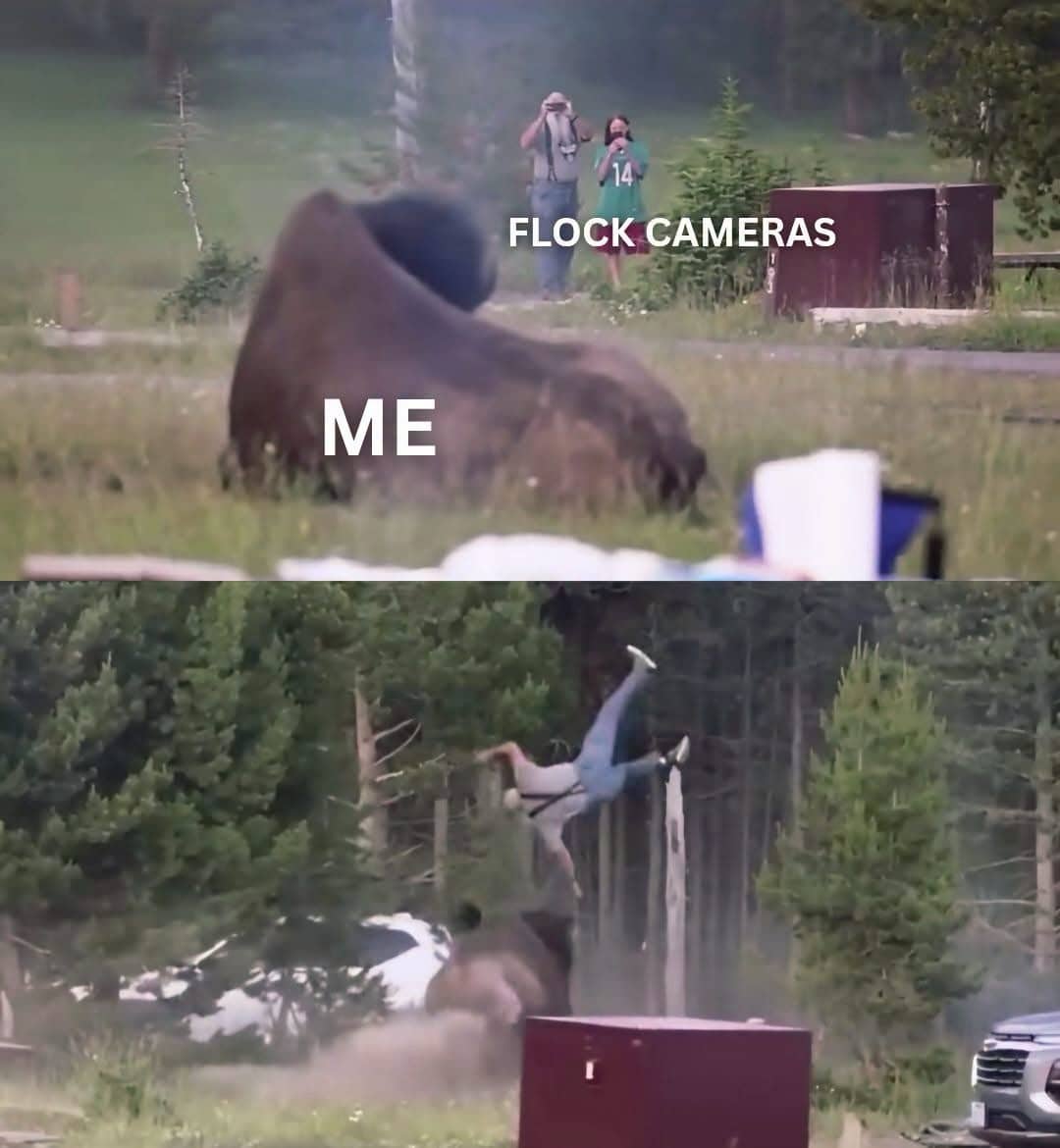 Funny memes template showing a person being violently flipped into the air by a bison.