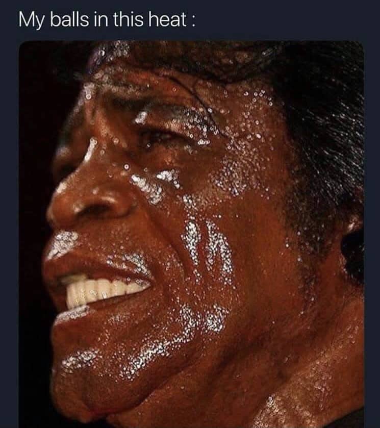Close up meme of a heavily sweating James Brown on stage with heat wave humor text.