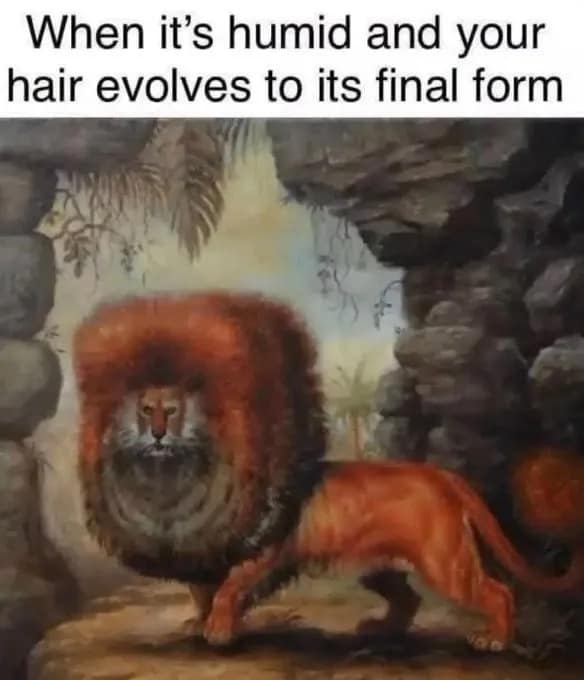 A brilliant hair care funny meme that uses a classical fine art painting of a majestic lion whose thick mane has frizzed into a perfect square cube due to extreme outdoor humidity.