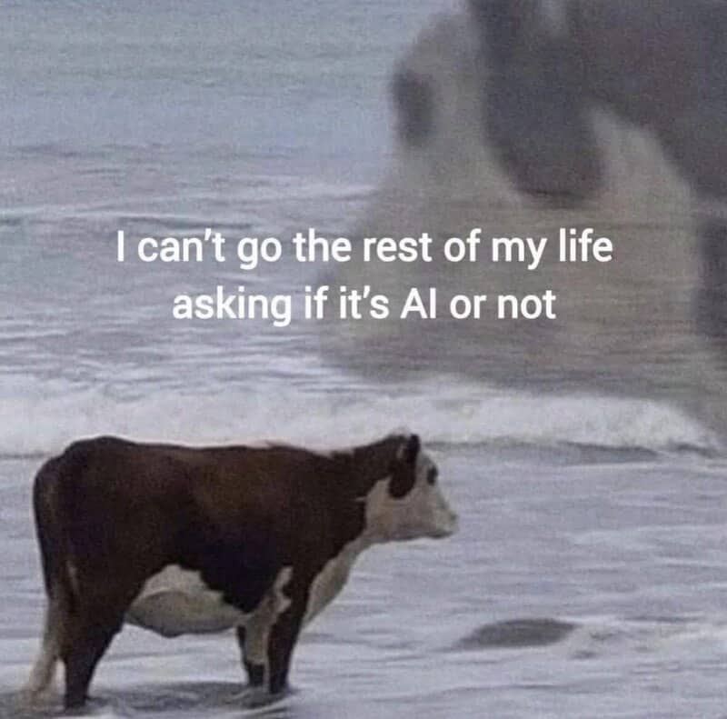 Surreal internet culture meme featuring a cow standing on a beach questioning artificial intelligence art.