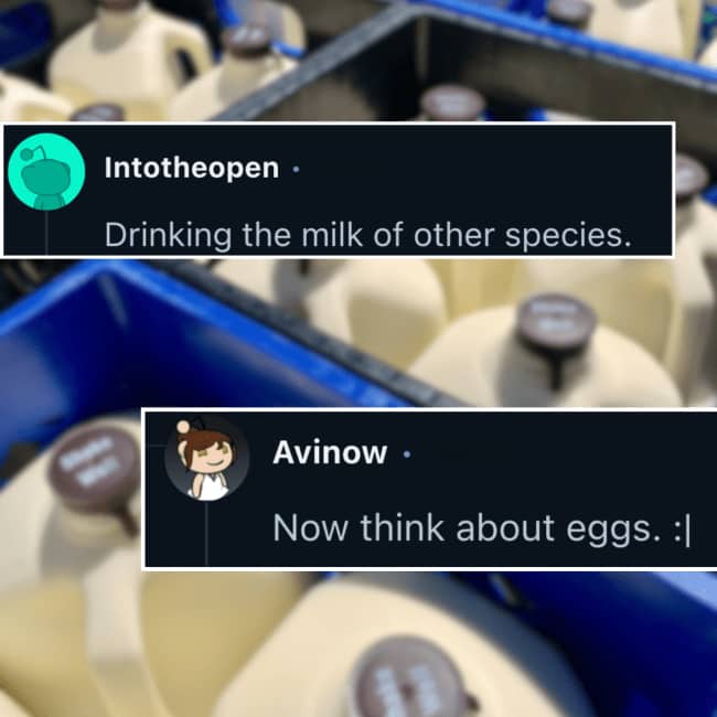 Milk jugs in plastic crates with dark text boxes pondering dairy consumption and eggs.