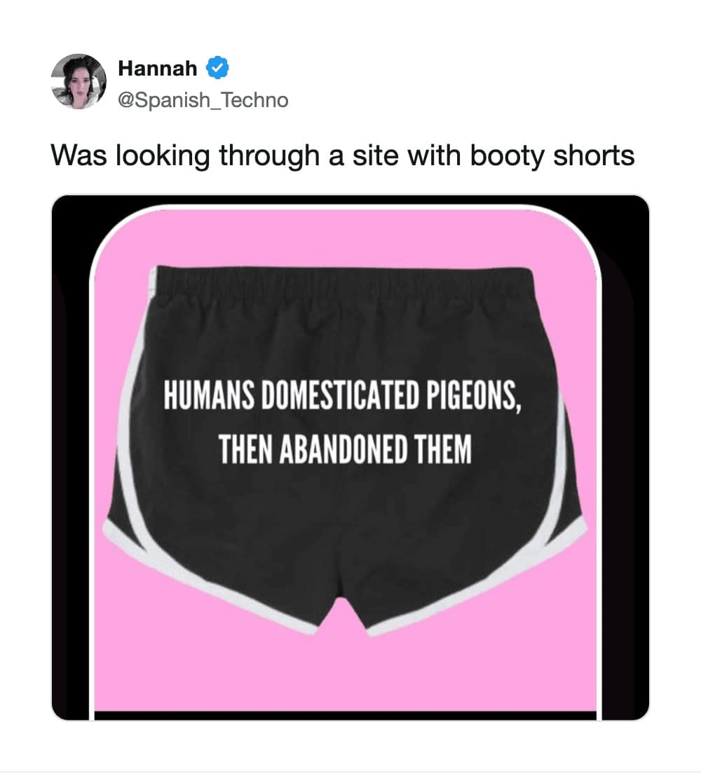 A random hilarious meme highlights a pair of black athletic shorts printed with a strangely existential fact about abandoned pigeons.