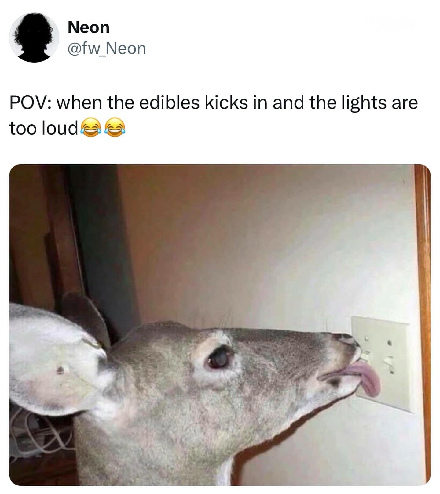 A surreal wildlife snapshot working as a hilarious meme captures a wide-eyed wild deer textually experiencing an intense edible kick by frantically licking a standard white wall light switch with its tongue.