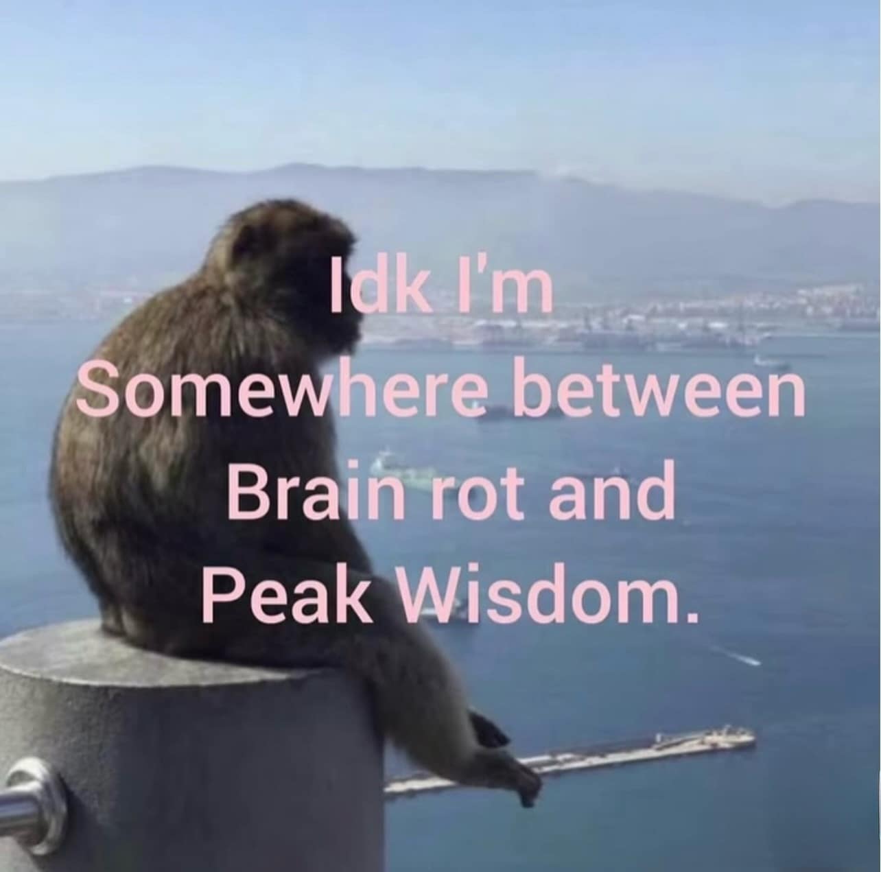 An existential hilarious meme featuring a lone macaque monkey sitting on a concrete wall looking out over a foggy ocean harbor, captioned with being caught between brain rot and peak wisdom.