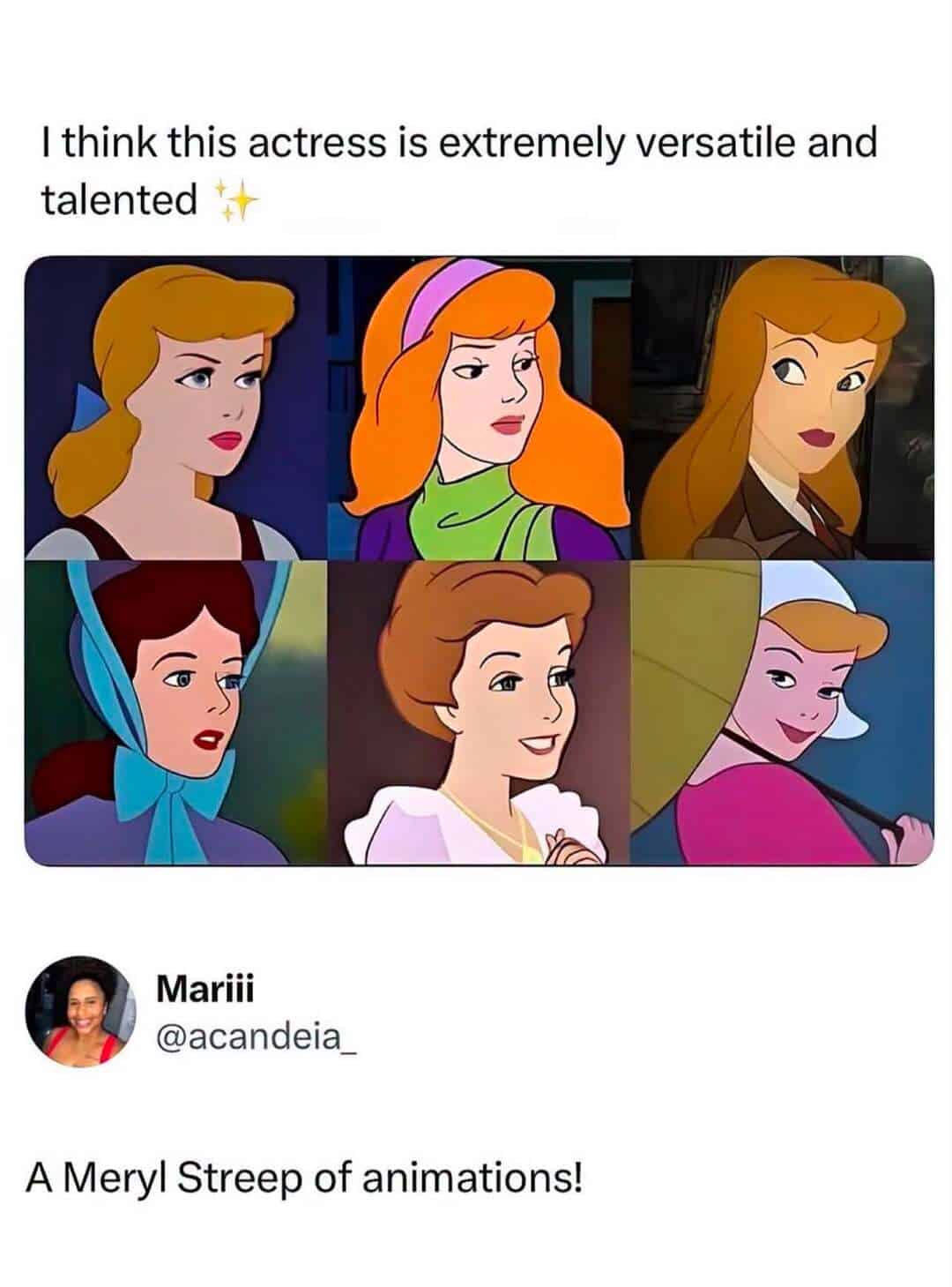 Closing out the funny meme selection is a six-panel character grid poking fun at animation history. It gathers multiple classic female characters—including Cinderella, Daphne Blake, and Alice in Wonderland—to highlight their identical facial designs, paired with a sarcastic quote tweet from Mariii (@acandeia_) reading, "A Meryl Streep of animations!".