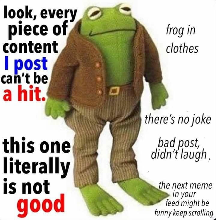 A hilariously self-aware entry from a meme dump features the classic "Frog and Toad" plush frog doll flatly warning users that this specific piece of content is an absolute miss.