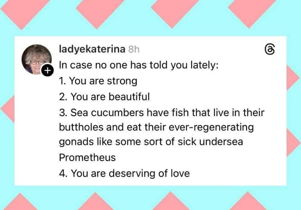 A funny text post in this meme dump blends standard inspirational affirmations with a graphic, deeply unhinged biological fact about sea cucumbers and parasitic fish acting like an undersea Prometheus.