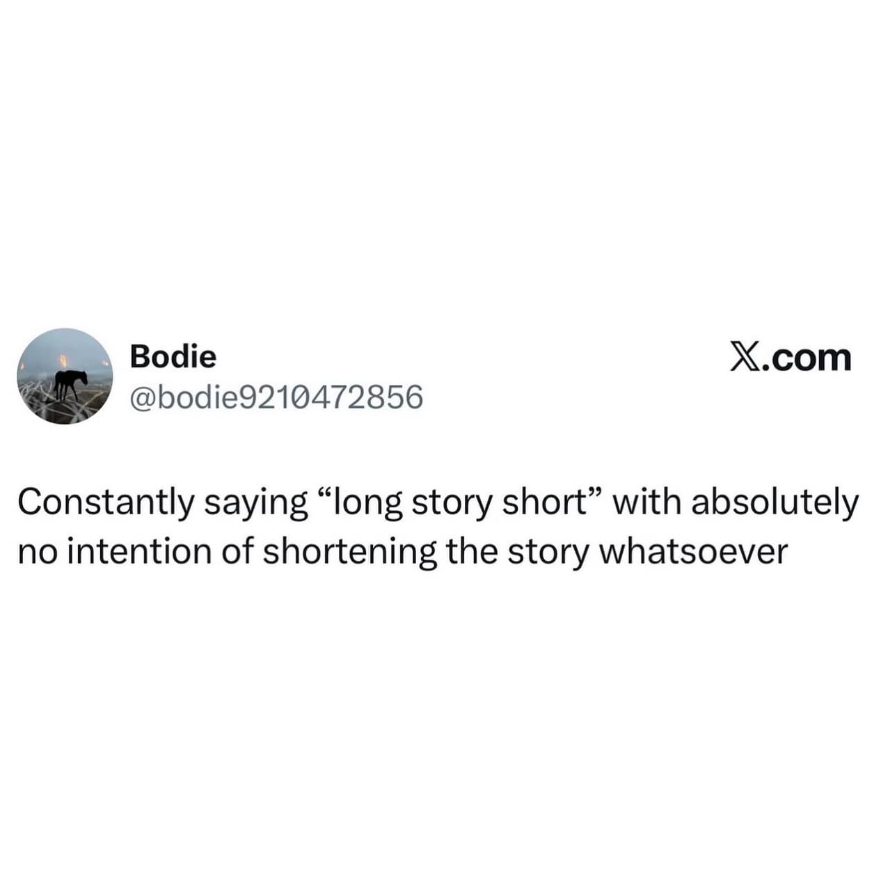 A relatable social media text post from the meme dump jokes about the absolute hypocrisy of using the phrase "long story short" right before launching into an incredibly detailed, unshortened narrative.