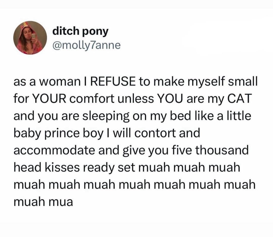A hilarious text post in this meme dump features a tweet about contorting and accommodating a cat sleeping on the bed like a little prince.