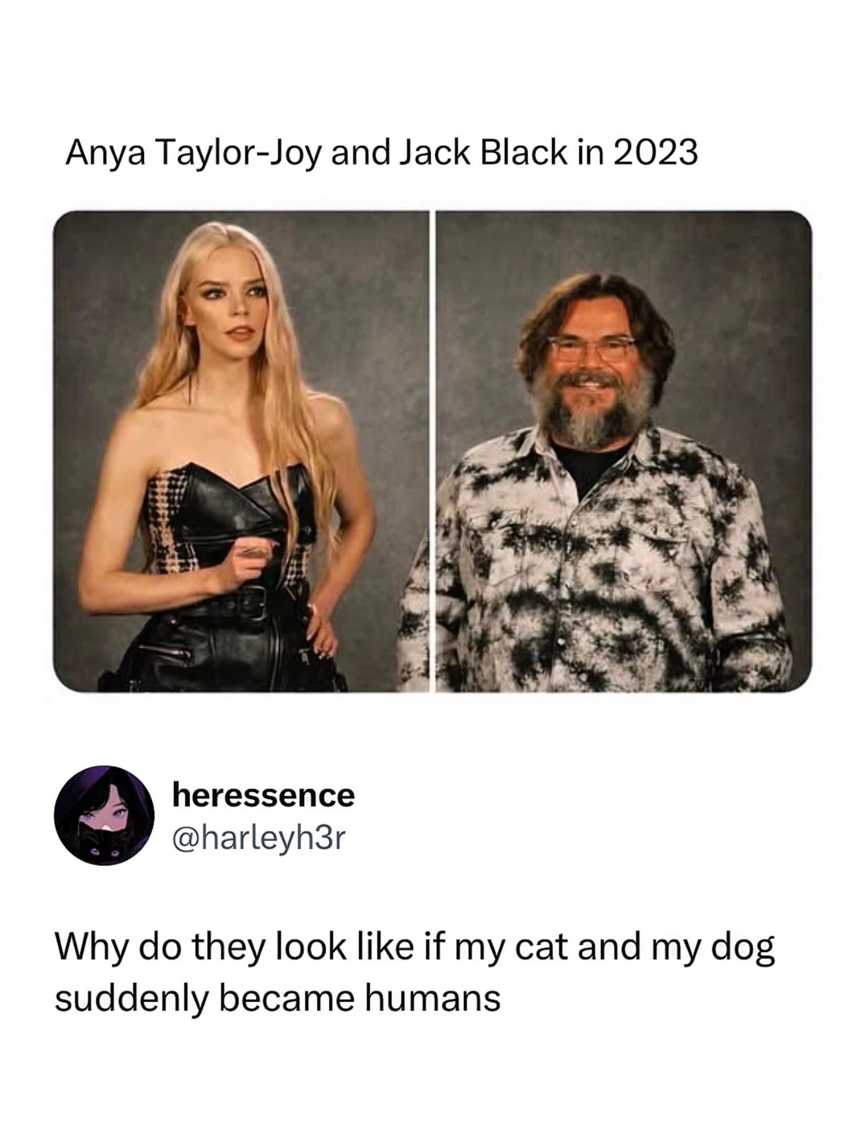 A viral addition to this meme dump features a side-by-side comparison of Anya Taylor-Joy and Jack Black, paired with a comment pointing out that they look like a cat and a dog turned into humans.