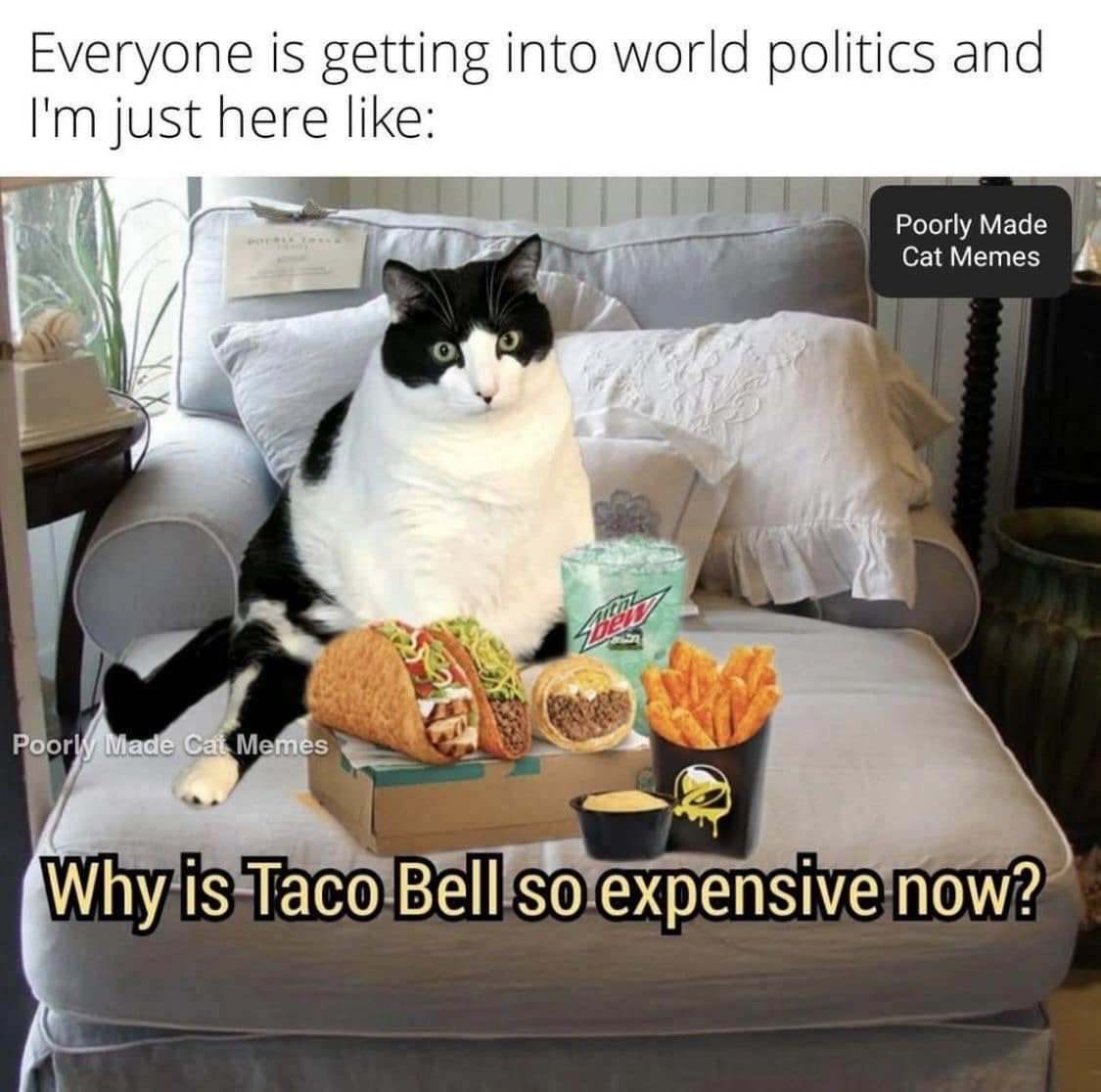 A millennial lifestyle post in the meme dump frames a chubby black-and-white cat lounging on a chair surrounded by photoshopped fast food, completely avoiding world politics to ask why Taco Bell is so expensive.