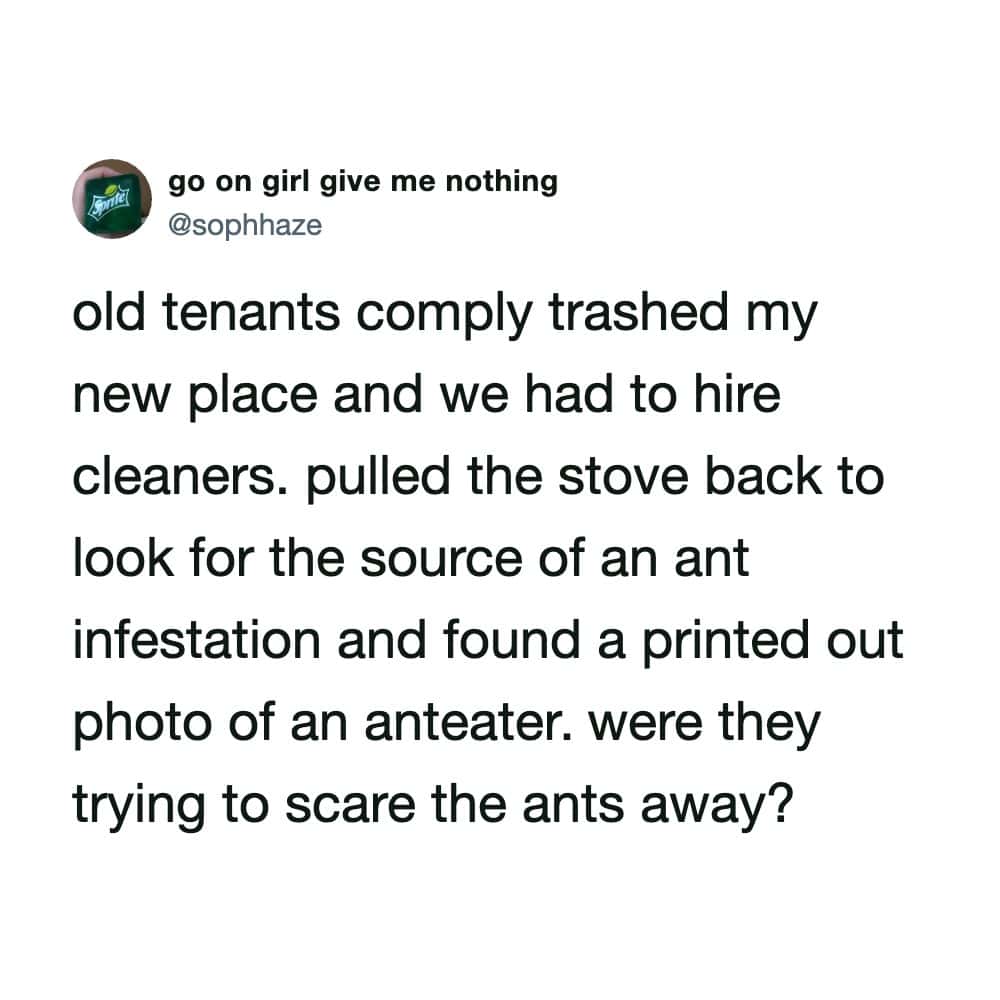 An absurdly funny tenant story in the meme dump details a tenant who tried to combat a severe kitchen ant infestation by simply placing a printed out photo of an anteater behind the stove.