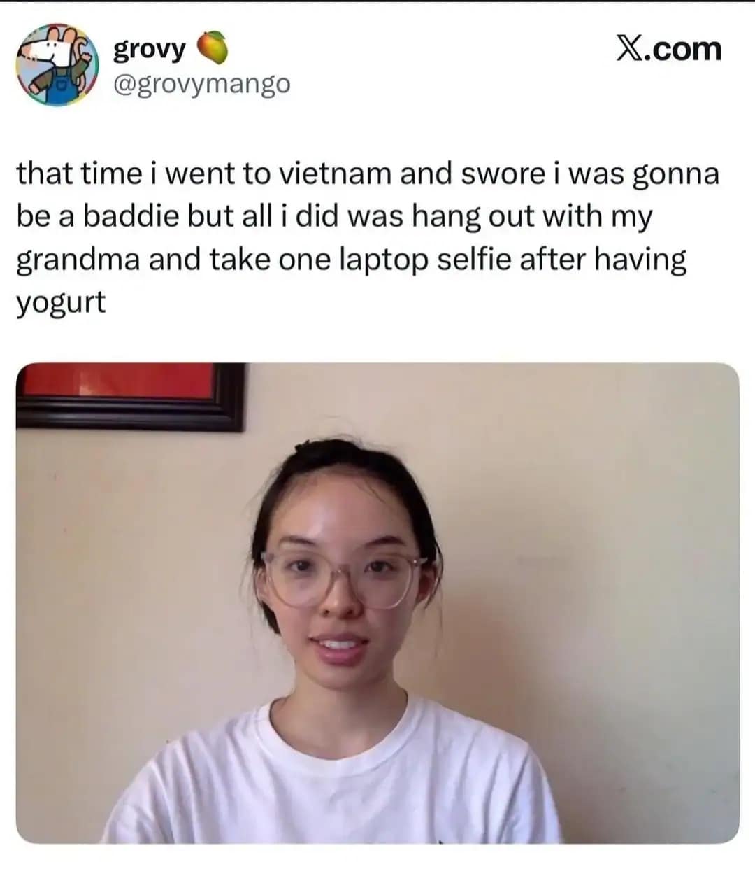 A vacation reality check in the meme dump shows a plain laptop selfie of a young woman who planned to be a fashionista in Vietnam but ended up eating yogurt with her grandmother.